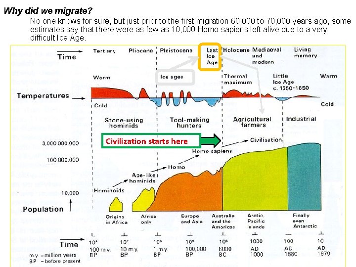 Why did we migrate? No one knows for sure, but just prior to the