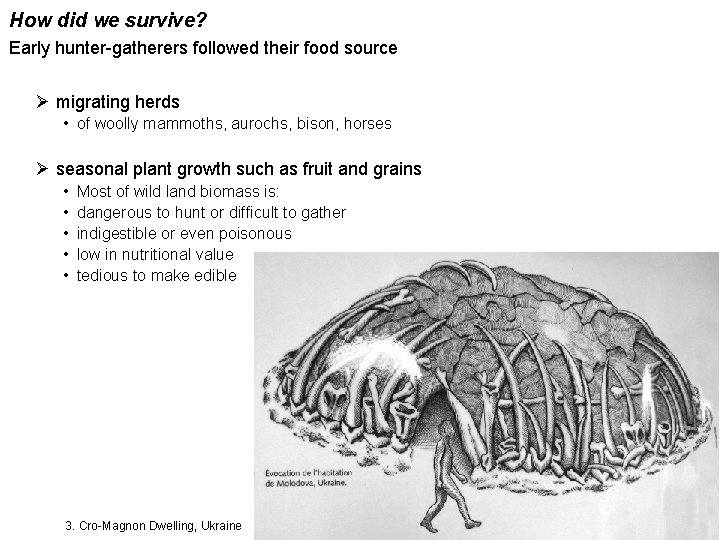 How did we survive? Early hunter-gatherers followed their food source Ø migrating herds •