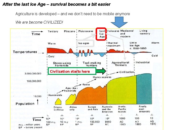 After the last Ice Age – survival becomes a bit easier Agriculture is developed