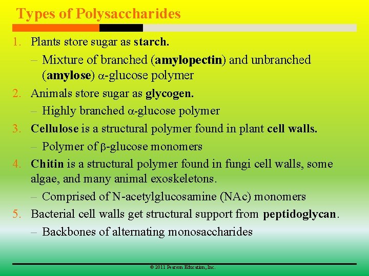 Types of Polysaccharides 1. Plants store sugar as starch. – Mixture of branched (amylopectin)