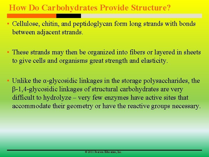 How Do Carbohydrates Provide Structure? • Cellulose, chitin, and peptidoglycan form long strands with