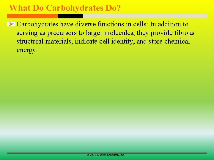 What Do Carbohydrates Do? Carbohydrates have diverse functions in cells: In addition to serving