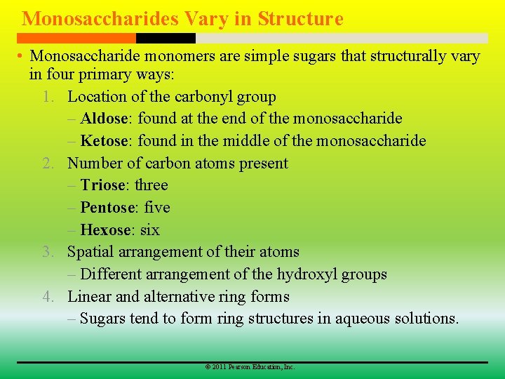 Monosaccharides Vary in Structure • Monosaccharide monomers are simple sugars that structurally vary in