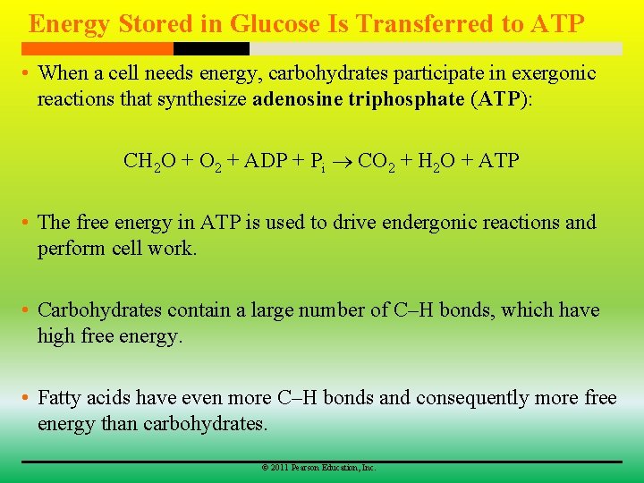 Energy Stored in Glucose Is Transferred to ATP • When a cell needs energy,