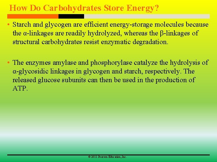 How Do Carbohydrates Store Energy? • Starch and glycogen are efficient energy-storage molecules because