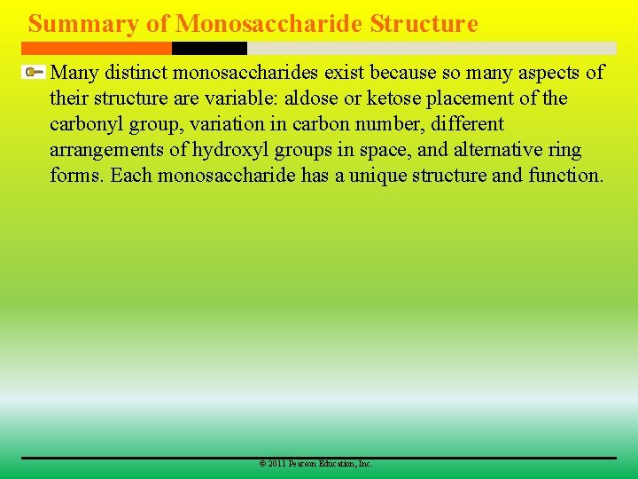 Summary of Monosaccharide Structure Many distinct monosaccharides exist because so many aspects of their