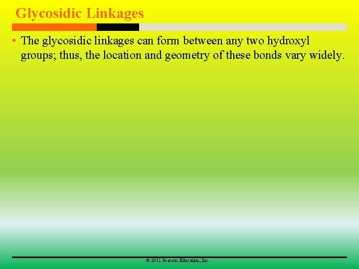 Glycosidic Linkages • The glycosidic linkages can form between any two hydroxyl groups; thus,