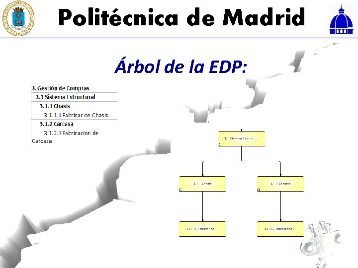 Politécnica de Madrid Árbol de la EDP: 
