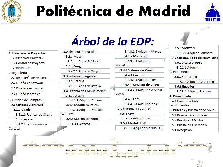 Politécnica de Madrid Árbol de la EDP: 
