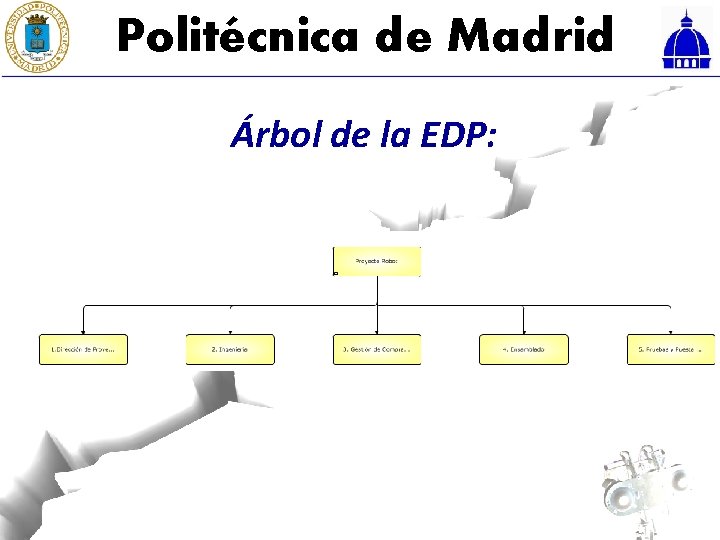 Politécnica de Madrid Árbol de la EDP: 