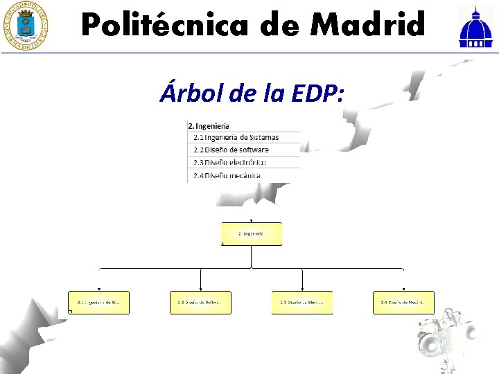 Politécnica de Madrid Árbol de la EDP: 