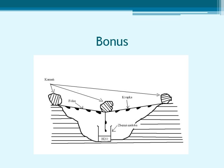 Bonus 