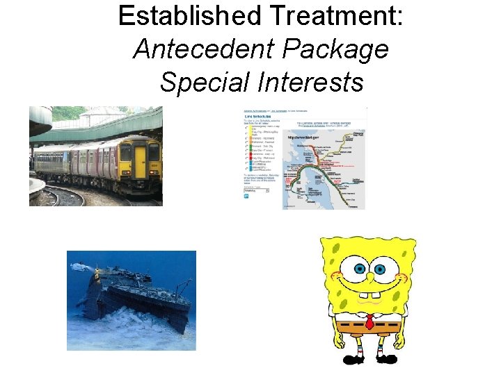 Established Treatment: Antecedent Package Special Interests 