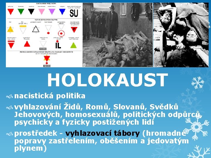 HOLOKAUST nacistická politika vyhlazování Židů, Romů, Slovanů, Svědků Jehovových, homosexuálů, politických odpůrců, psychicky a