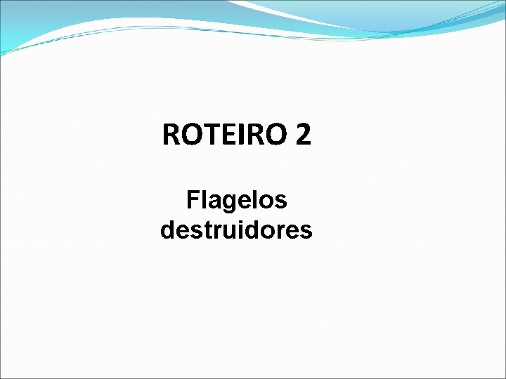 ROTEIRO 2 Flagelos destruidores 