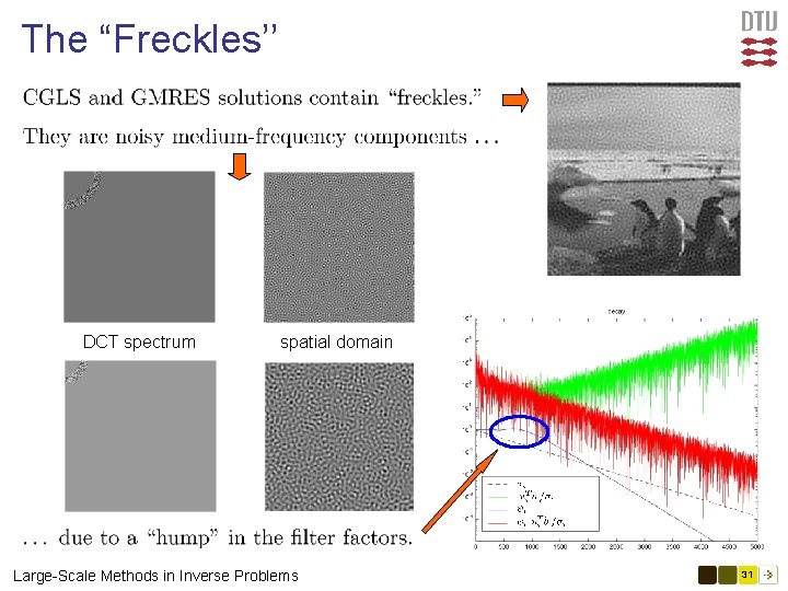 The “Freckles’’ DCT spectrum spatial domain Large-Scale Methods in Inverse Problems 31 