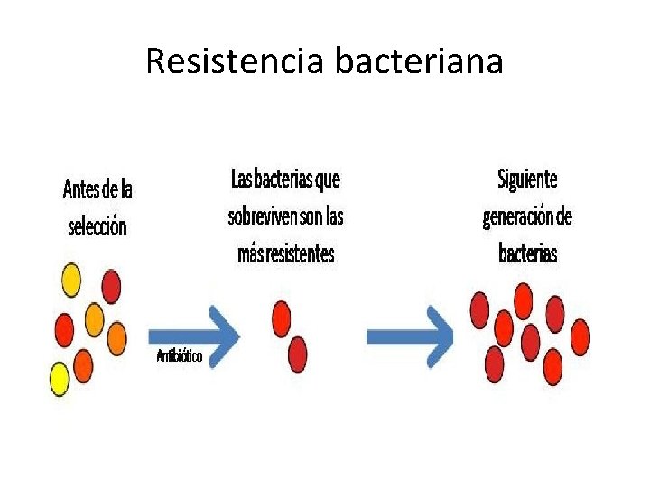 Resistencia bacteriana 
