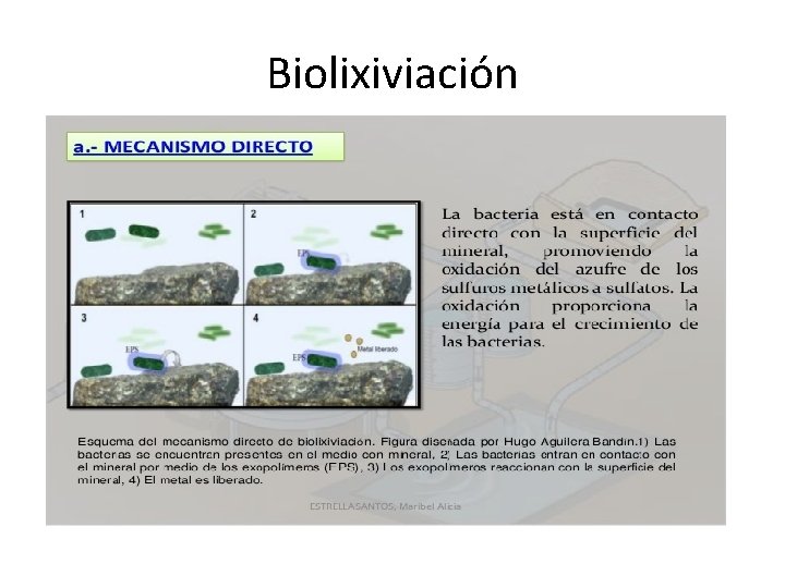 Biolixiviación 