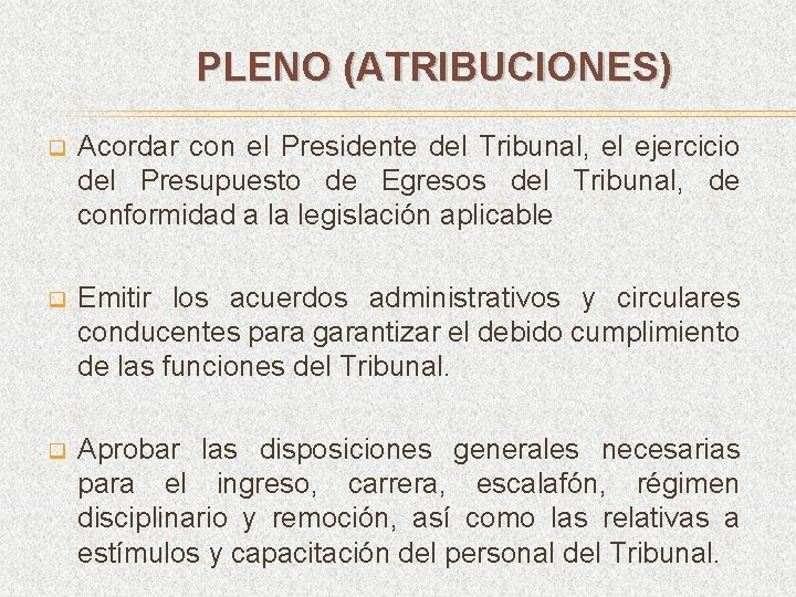 PLENO (ATRIBUCIONES) q Acordar con el Presidente del Tribunal, el ejercicio del Presupuesto de