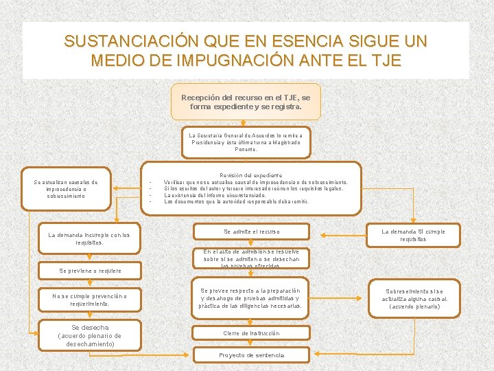 SUSTANCIACIÓN QUE EN ESENCIA SIGUE UN MEDIO DE IMPUGNACIÓN ANTE EL TJE Recepción del