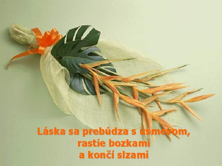 Láska sa prebúdza s úsmevom, rastie bozkami a končí slzami 
