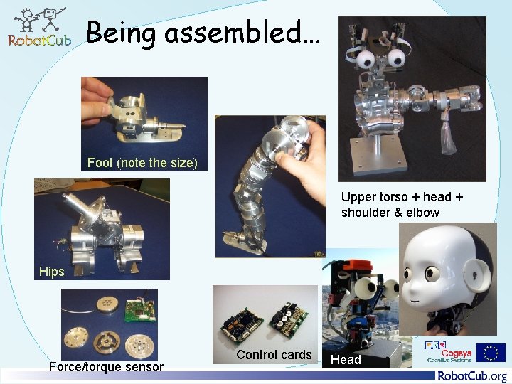 Being assembled… Foot (note the size) Upper torso + head + shoulder & elbow