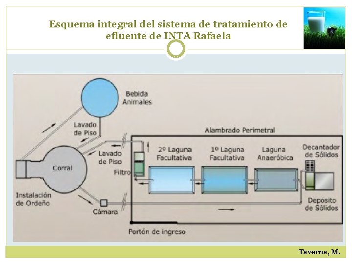 Esquema integral del sistema de tratamiento de efluente de INTA Rafaela Taverna, M. 