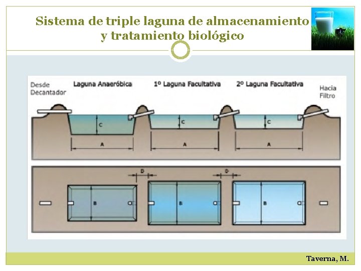 Sistema de triple laguna de almacenamiento y tratamiento biológico Taverna, M. 