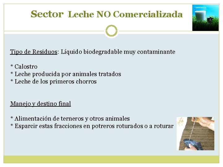 Sector Leche NO Comercializada Tipo de Residuos: Líquido biodegradable muy contaminante * Calostro *