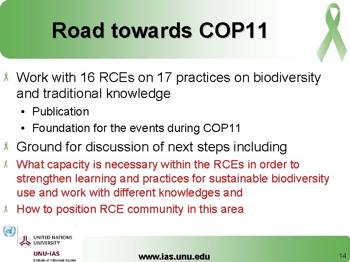 Road towards COP 11 Work with 16 RCEs on 17 practices on biodiversity and