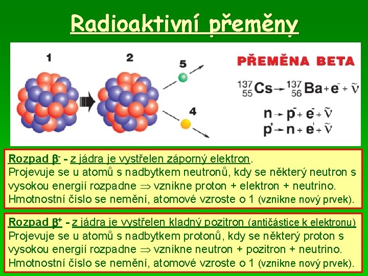 Radioaktivní přeměny Rozpad - - z jádra je vystřelen záporný elektron. Projevuje se u