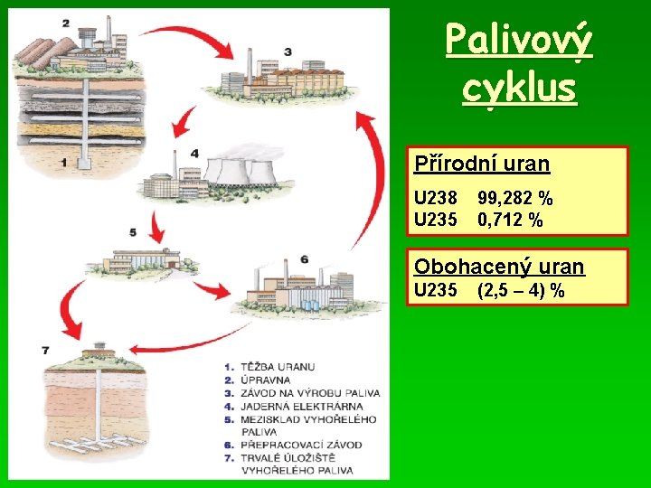 Palivový cyklus Přírodní uran U 238 U 235 99, 282 % 0, 712 %