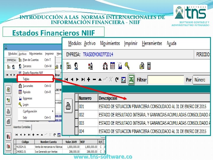 INTRODUCCIÓN A LAS NORMAS INTERNACIONALES DE INFORMACIÓN FINANCIERA - NIIF Estados Financieros NIIF www.
