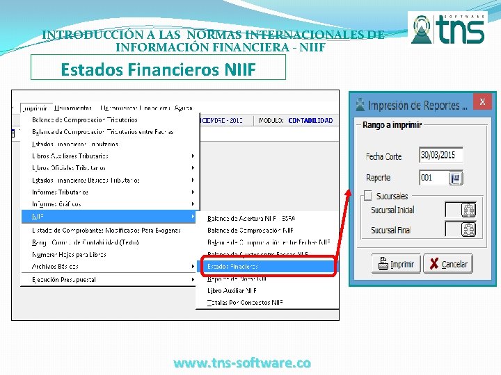 INTRODUCCIÓN A LAS NORMAS INTERNACIONALES DE INFORMACIÓN FINANCIERA - NIIF Estados Financieros NIIF www.