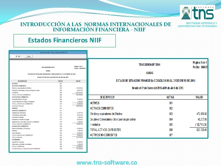 INTRODUCCIÓN A LAS NORMAS INTERNACIONALES DE INFORMACIÓN FINANCIERA - NIIF Estados Financieros NIIF www.