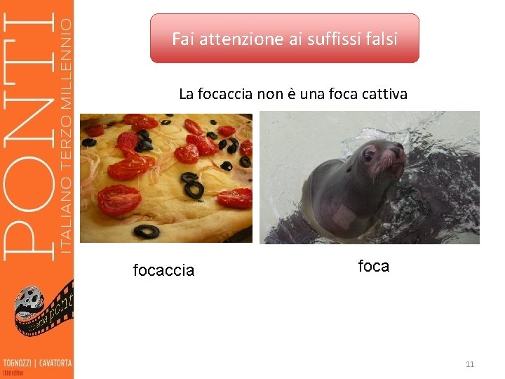 Fai attenzione ai suffissi falsi La focaccia non è una foca cattiva focaccia foca