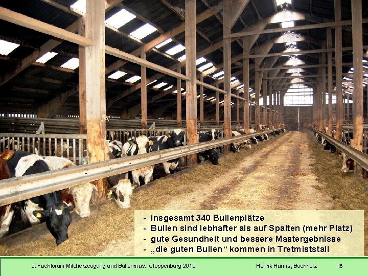 - insgesamt 340 Bullenplätze Bullen sind lebhafter als auf Spalten (mehr Platz) gute Gesundheit