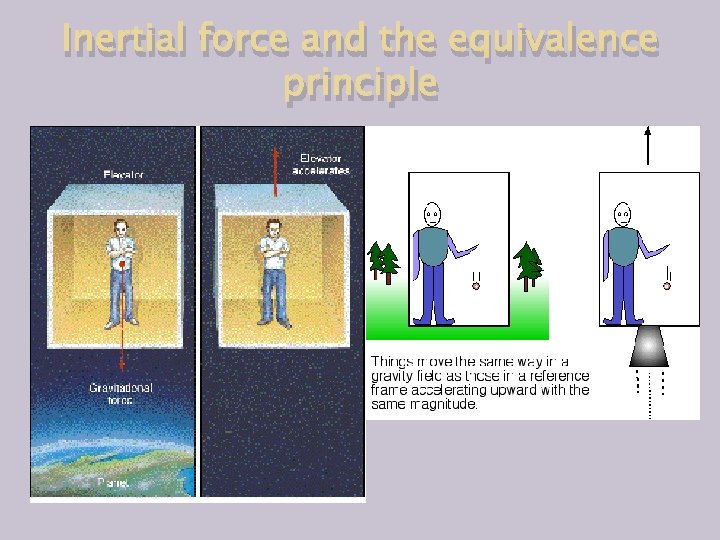 Inertial force and the equivalence principle 