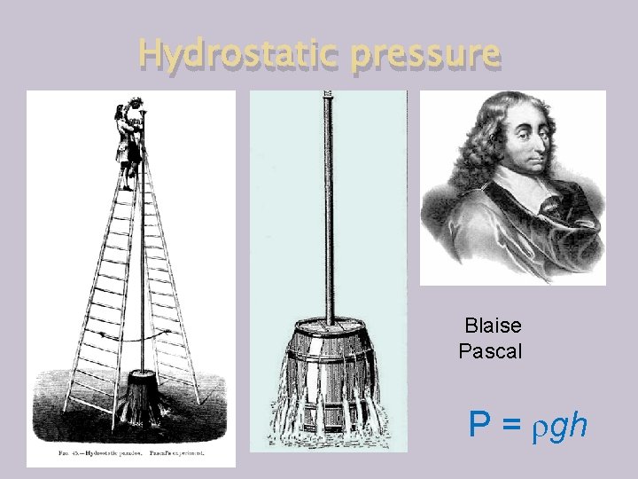 Hydrostatic pressure Blaise Pascal P = ρgh 