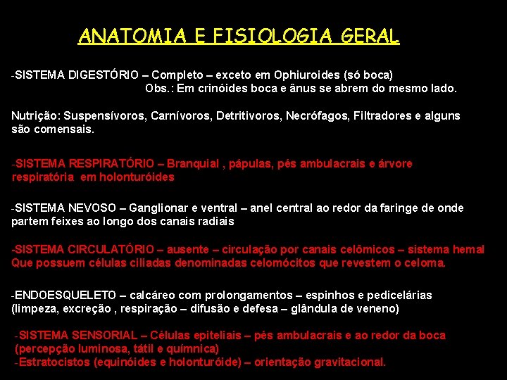 ANATOMIA E FISIOLOGIA GERAL -SISTEMA DIGESTÓRIO – Completo – exceto em Ophiuroides (só boca)