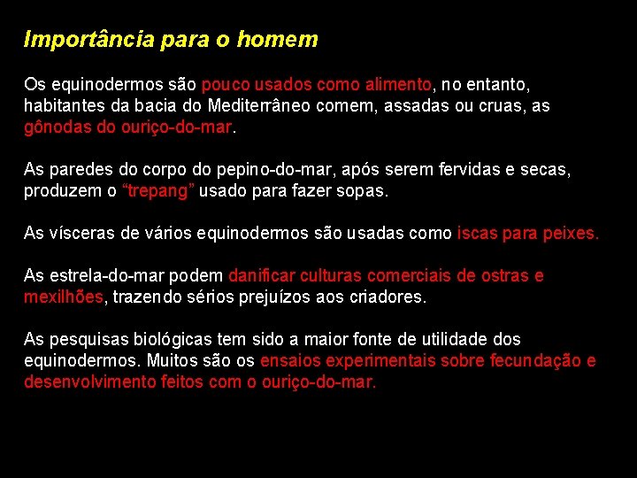 Importância para o homem Os equinodermos são pouco usados como alimento, no entanto, habitantes