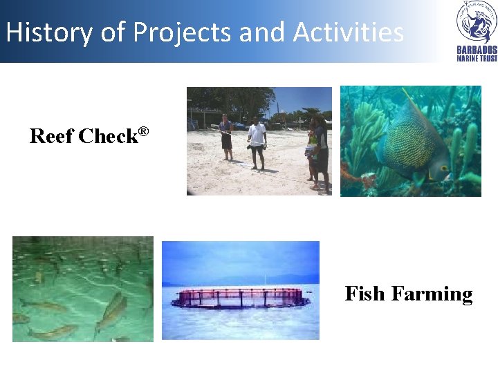 History of Projects and Activities Reef Check® Fish Farming 