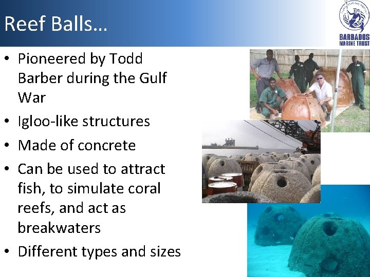 Reef Balls… • Pioneered by Todd Barber during the Gulf War • Igloo-like structures