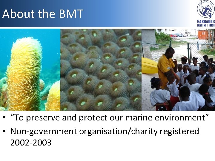 About the BMT • “To preserve and protect our marine environment” • Non-government organisation/charity