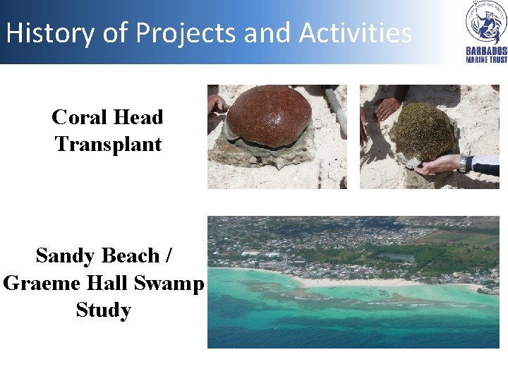 History of Projects and Activities Coral Head Transplant Sandy Beach / Graeme Hall Swamp