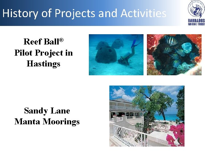 History of Projects and Activities Reef Ball® Pilot Project in Hastings Sandy Lane Manta
