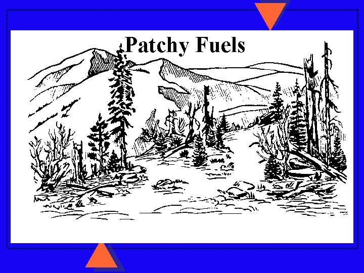 Patchy Fuels Patchy Fuels