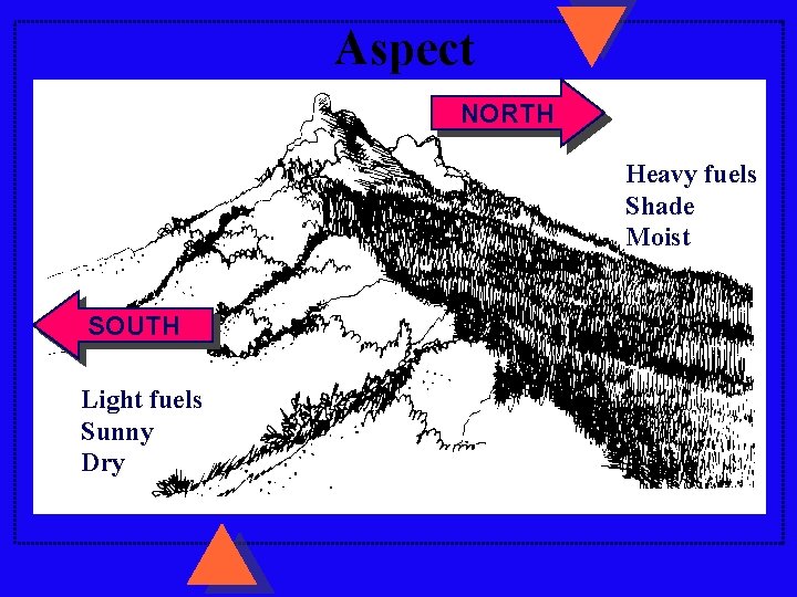 Aspect NORTH Heavy fuels Shade Moist SOUTH Light fuels Sunny Dry 