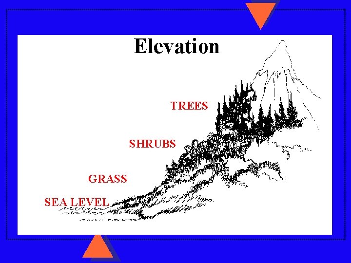 Elevation TREES SHRUBS GRASS SEA LEVEL Elevation TREES SHRUBS GRASS SEA LEVEL