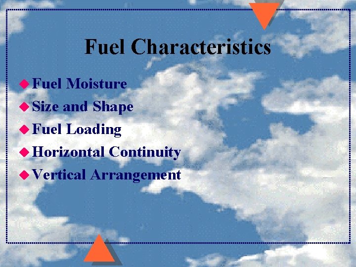 Fuel Characteristics u Fuel Moisture u Size and Shape u Fuel Loading u Horizontal